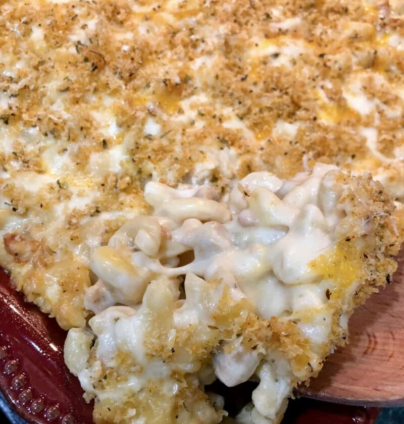 Creamy Macaroni and Cheese Recipe