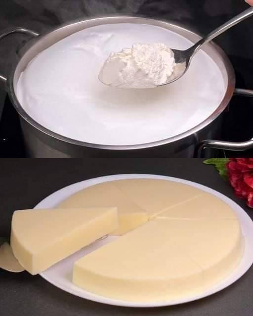 Homemade Cheese: A Simple and Rewarding Experience